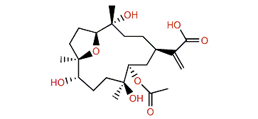 Dendronpholide J